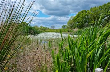 Online community event: HS2 in Focus: An introduction to the Phase 2a environmental programme